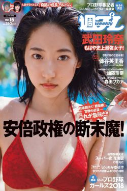 水乳交融一和如胶似漆区别